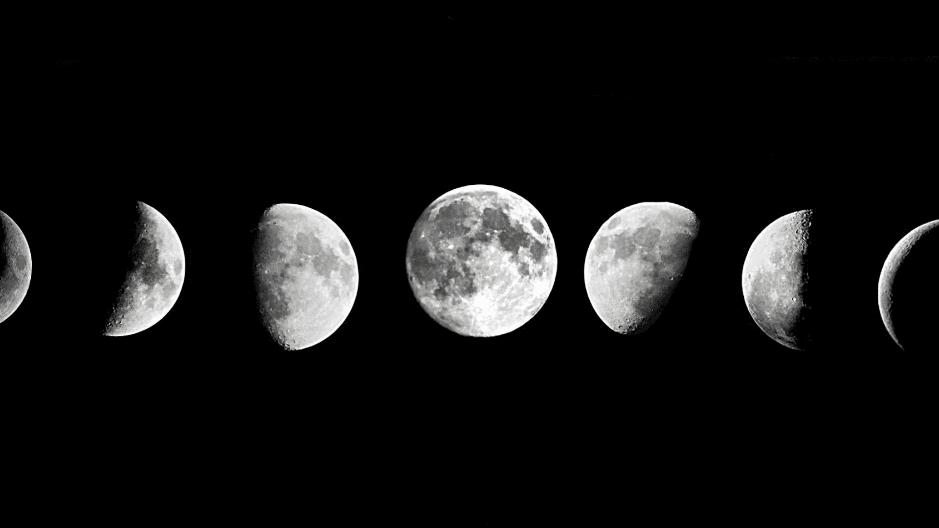 Phases of the moon against a black backdrop