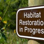Habitats sign posted in a meadow that reads "habitat restoration in progress"